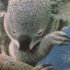 Meet your Posher, Kendal